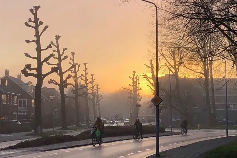 2021 04 02 uitslag fotowedstrijd 2021 2022 2 winnaar
