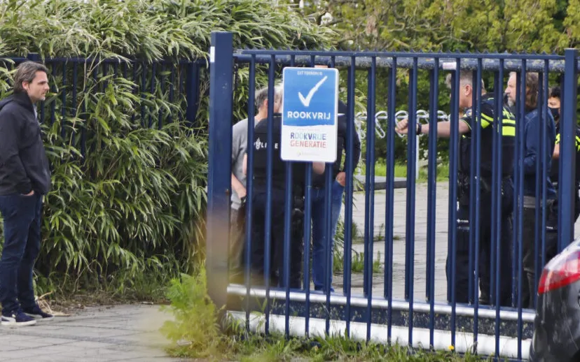 20210517150359 mg 0865 915x518 1