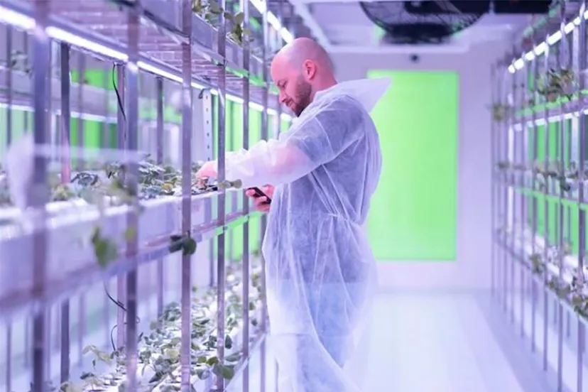 2022 10 21 smartkas def 0