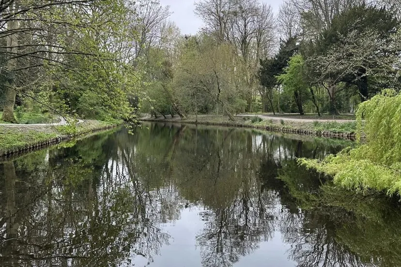 2024 04 2520in20stadspark