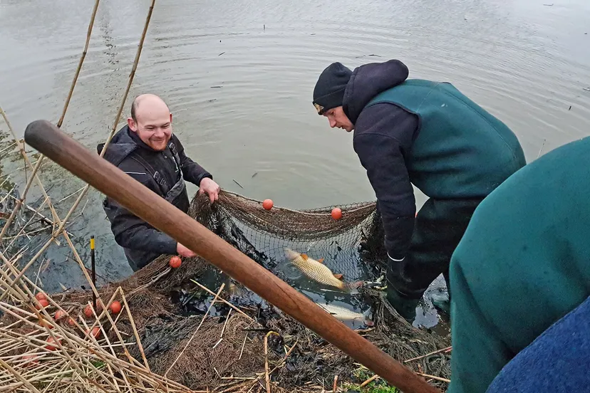 210113 smwn persbericht karpers gered in badhoevedorp 1