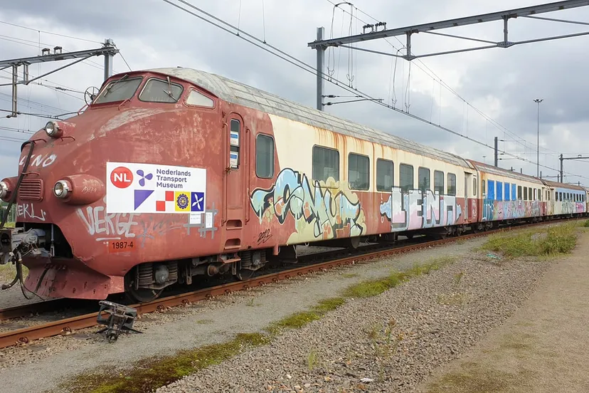 239448451 233321002033266 6951616975581080354 n