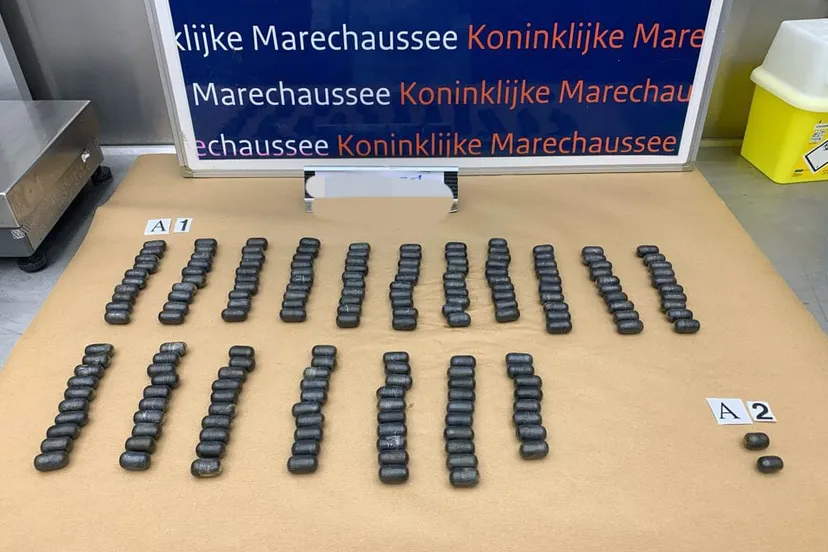 275985206 331291755699353 7914471443237650928 n