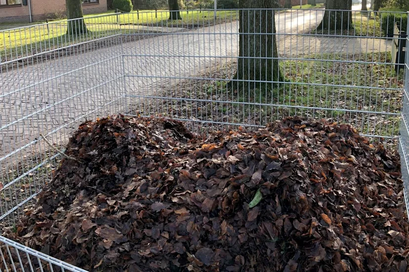 314147374 491435376348031 7082227790905676444 n