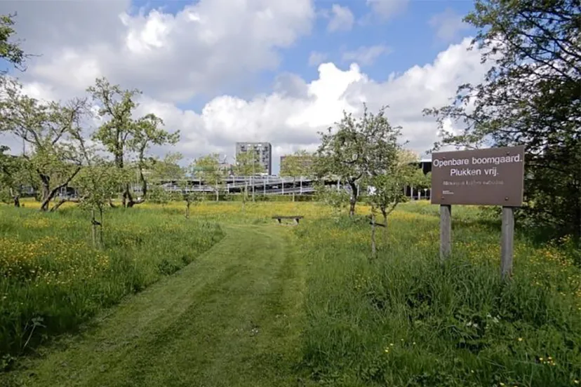 315124026 495961749228727 8888983902539418275 n