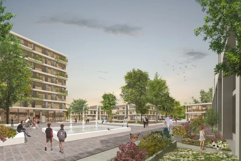 371098436 620499120261874 1658738191083741397 n