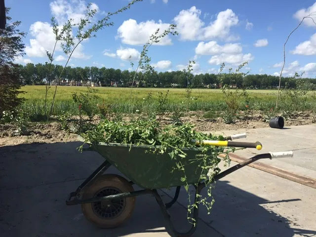 372905048 620418330269953 2923261082553609807 n