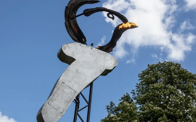 3z1a1231 2 915x518 1