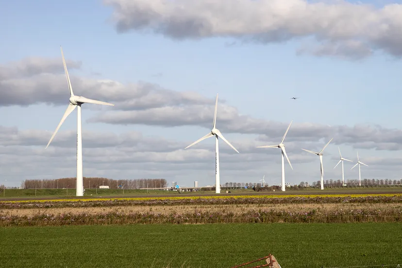 3z1a6084 windmolens wim meijer fotografie