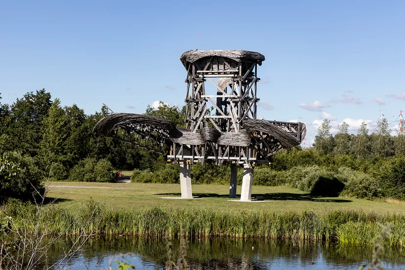 3z1a9816 kopieren waterlelie wim meijer fotografie