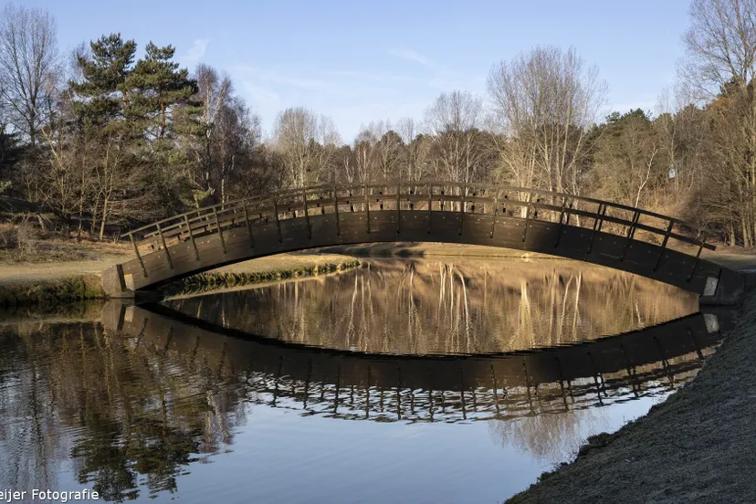 52669972 2938167559528510 5168288233523511296 o