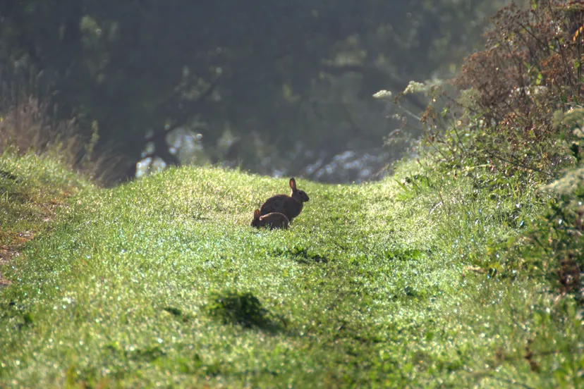 9738207088 ae345fcc36 z