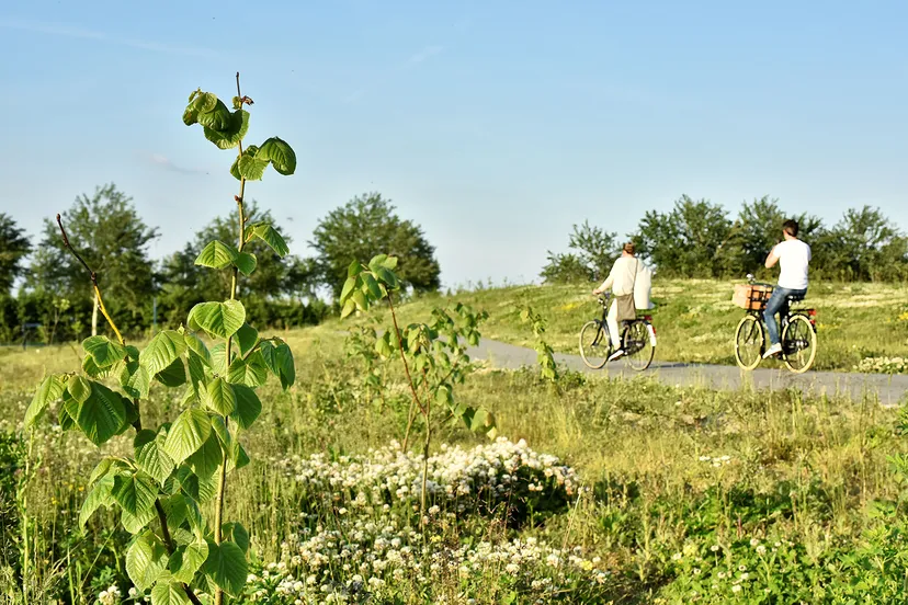 ansichtkaart 1 fietsers park21