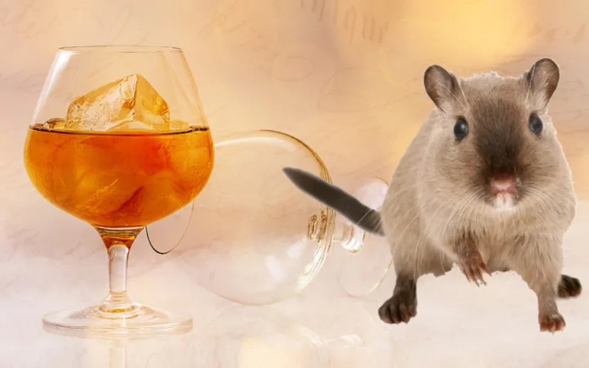 banner rattengif en brandewijn 915x518