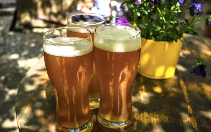 beer 1379581 1920 915x518 1