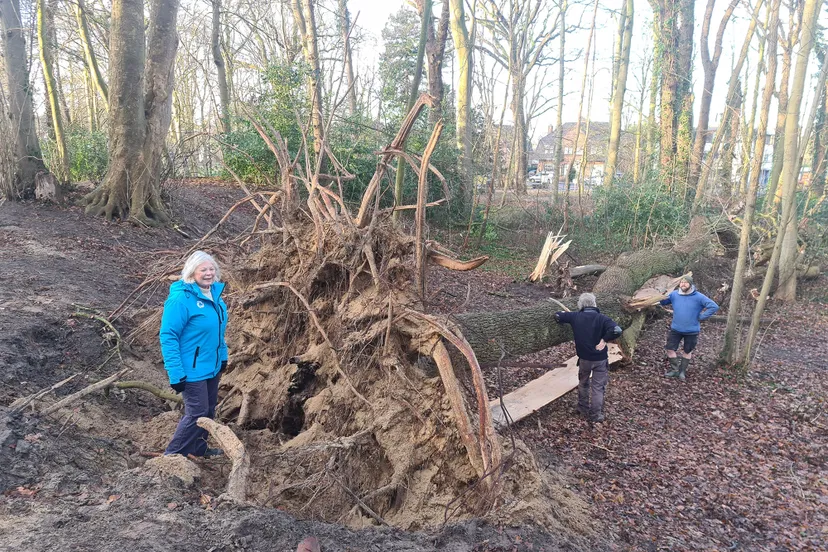 blog 28januari stm schade