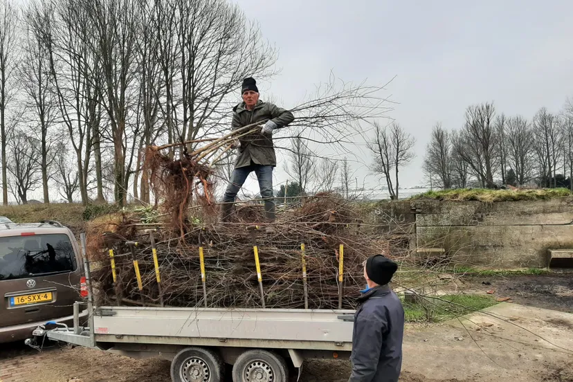 blog 3 maart 3000 boompjes