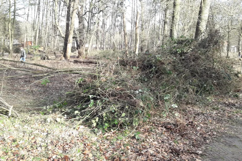 blog12 2groenendaalna