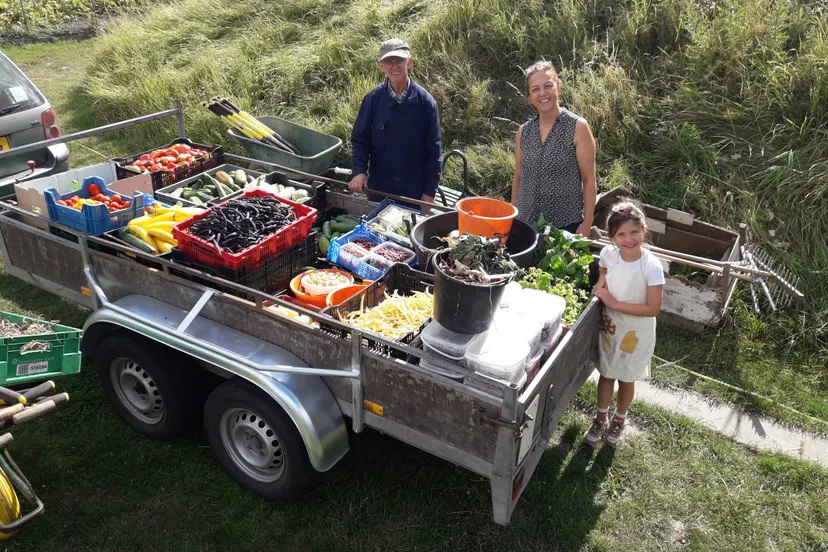 blog14 8deboontjes etc die we niet kwijt kunnen aan het systeem