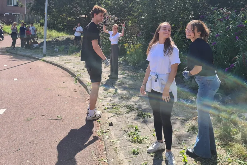 blog20 8 ontgroenen of vergroenen