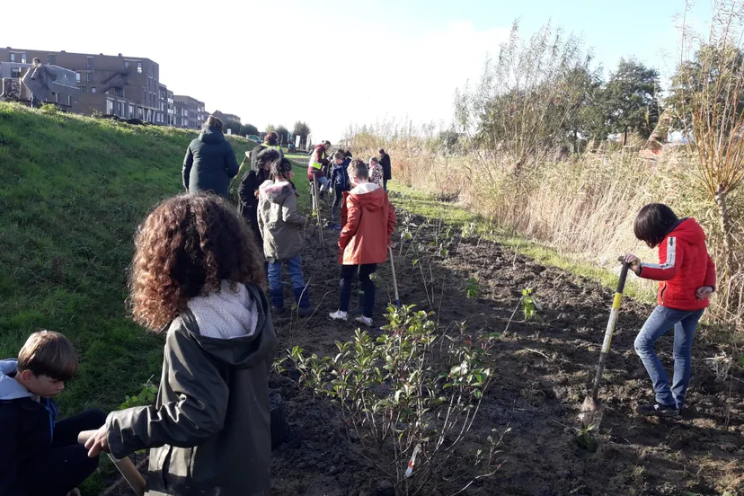 blog20novbomenplanten