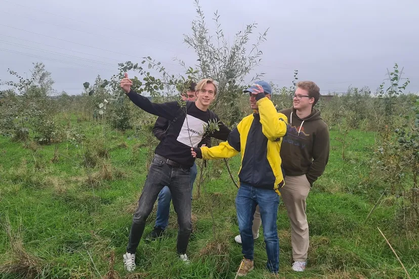 blog22oktober mehrbaeume boys