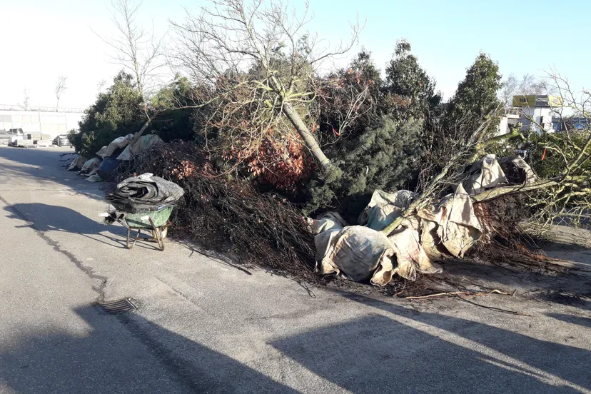 blog27 2globalgarden