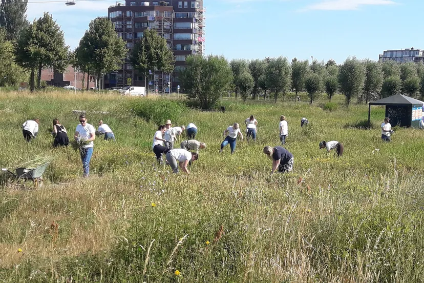 blog2julizaad verzamelen