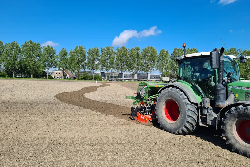 blog5 mei bloemen weide in zaaien c beta