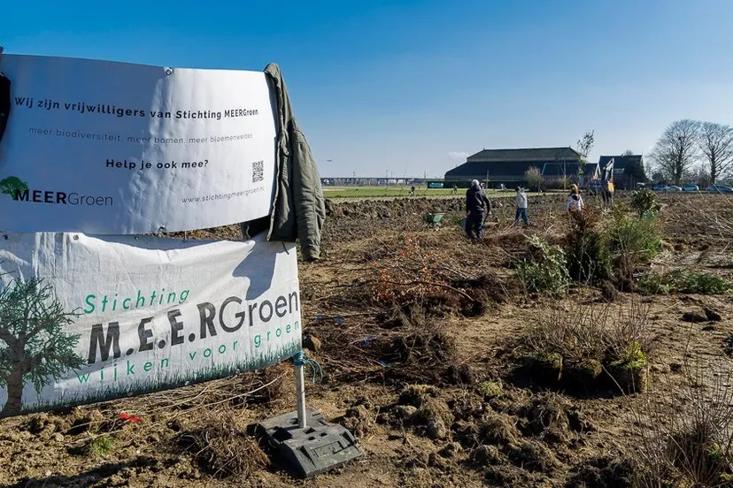 blog5 mnaartwindsingellincolnpark