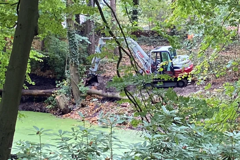 blog6 nov vjijersorghbosch