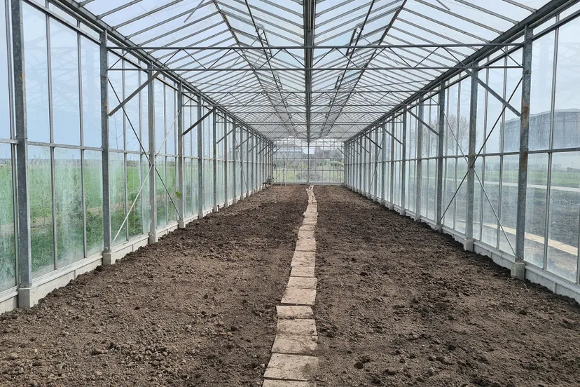 blog7 april kas lincolnpark