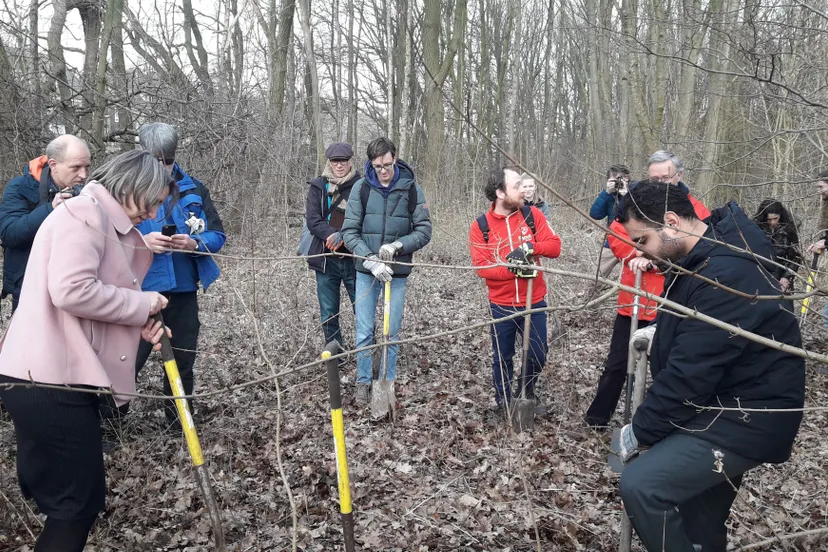 blog8 febr politiek in actie