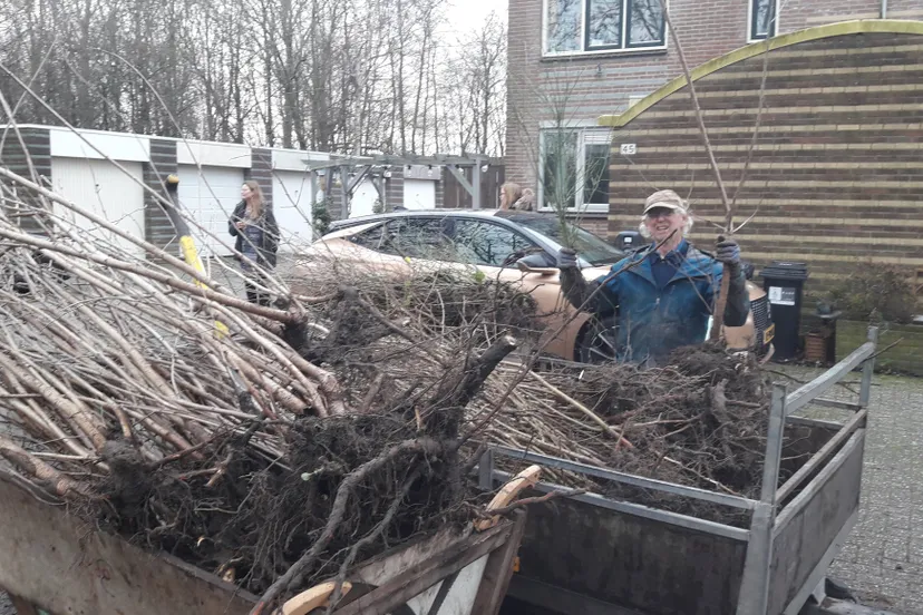 blog8jan kersenbomen