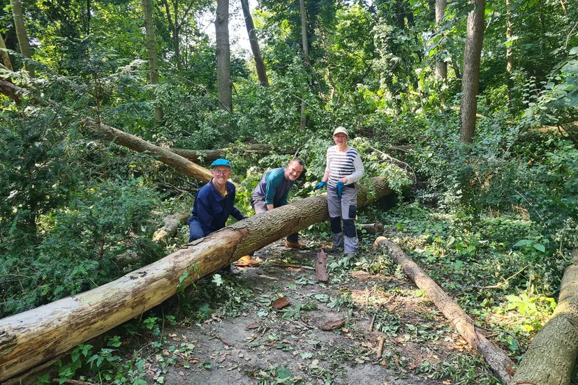 blog9 juli sorghbosch