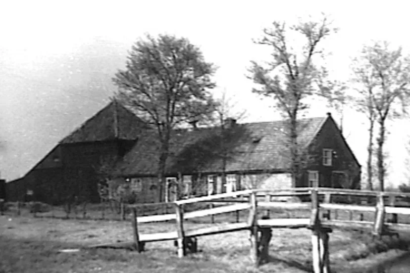 boerderij blauhek nr cz 8 spaarnwoude 20448828 rce