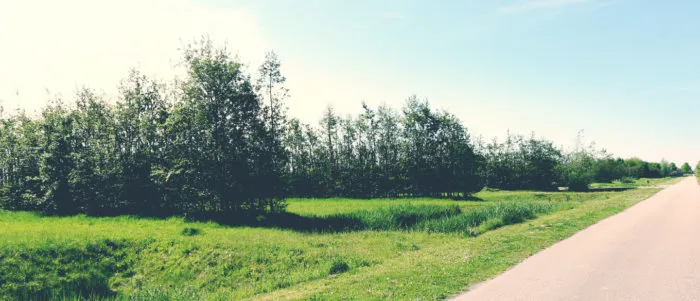 elzenhove e1499848264760