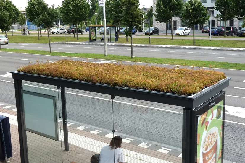 groene bushalte in utrecht terwijde wiki