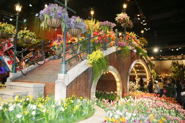 hollandflowerworld philli 2