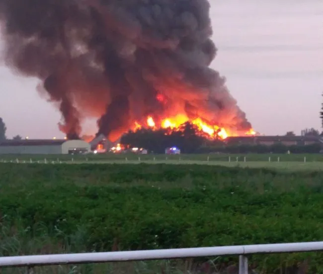 img 1952 e1503903595568