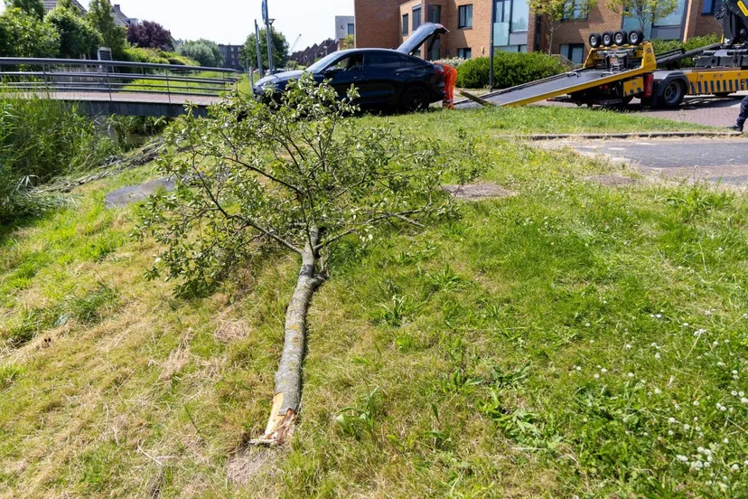 img 20240627 wa0035 copy 1433x956