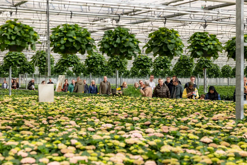 img 3507 at rolfvankoppenfotografie