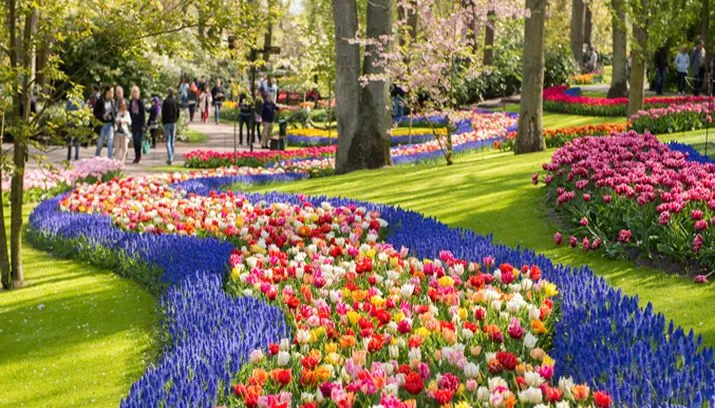 keukenhof