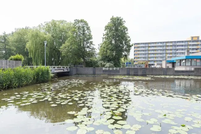 linquenda e1499846621874