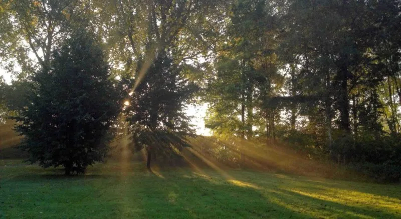 mindful e1504689357117