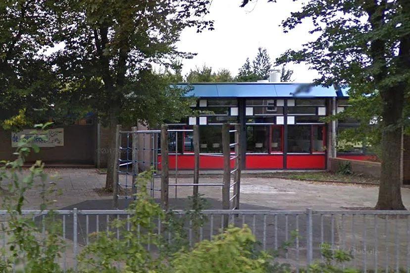 naamloos 1 zilvermeeuw google streetview