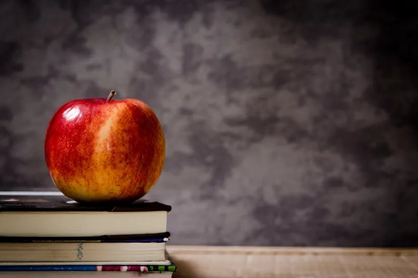 onderwijs appel boek plant fruit morgen bloem pxhere