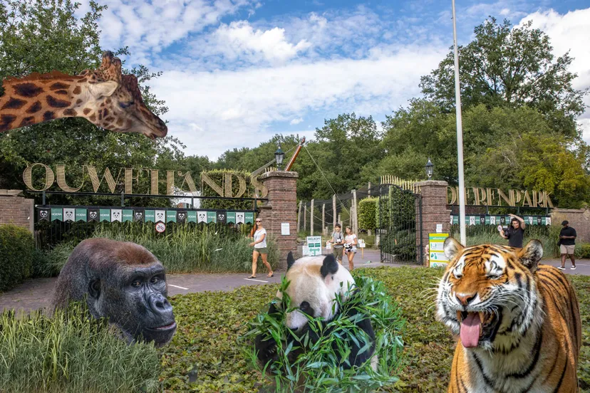 parkentree uitgelicht