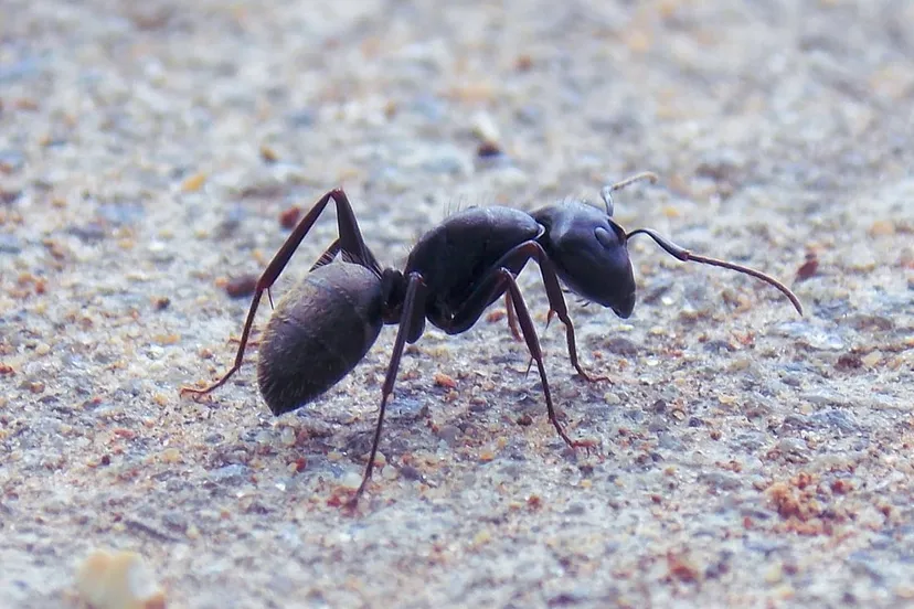 photo 1562586299 9b3c4a30e99c