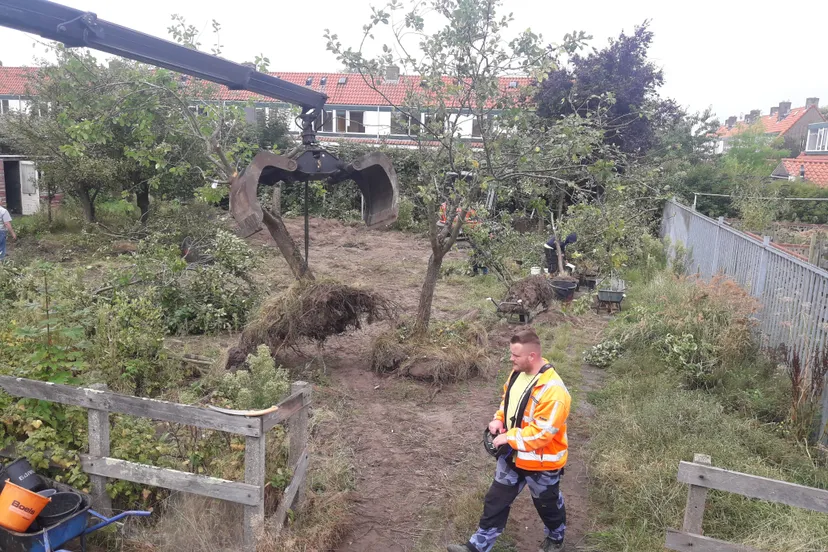 rijnsburgstruikroven